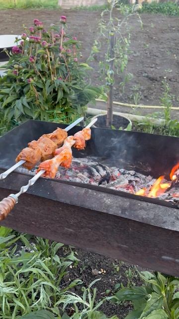 Май