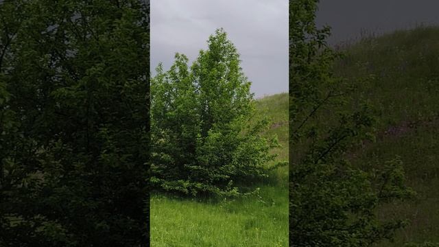 31-05-2025