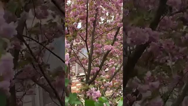 ТВОЯ ЦЕННОСТЬ
