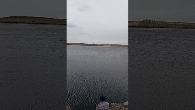 любительское рыбалка