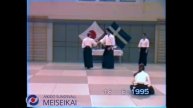 63 Aikido Ai Hanmi Shihonage Omote Nishio Sensei Uppsala 1995