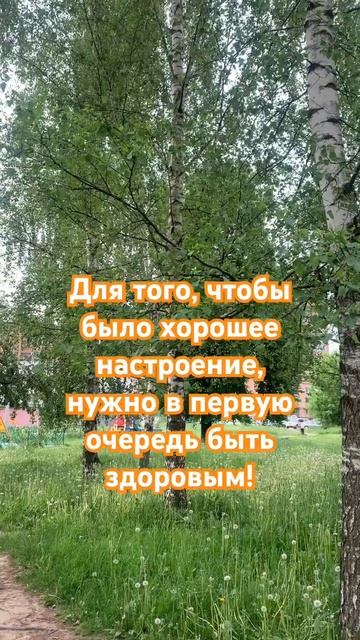 Здоровье