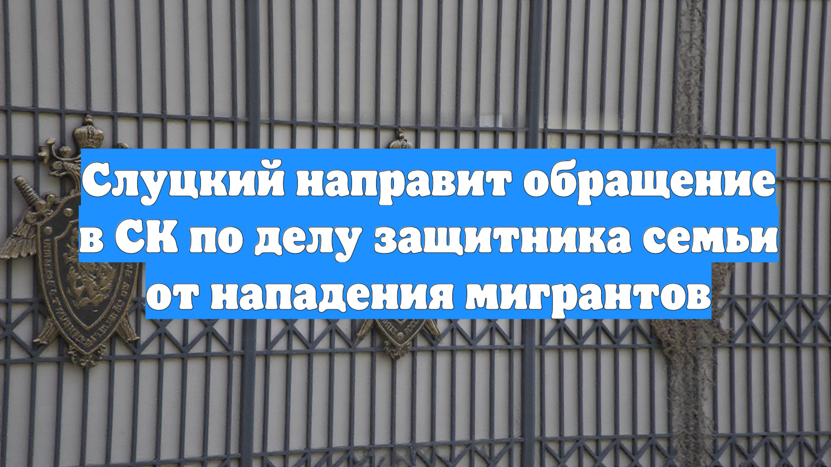 Слуцкий направит обращение в СК по делу защитника семьи от нападения мигрантов