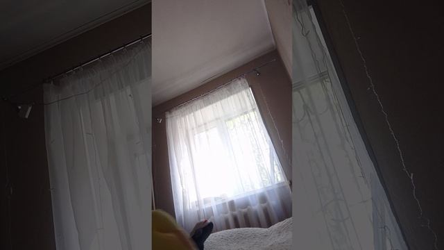 дратути Акулëнок ту ту ту грибок