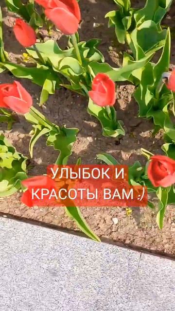1000214033.mp4