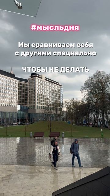 Мысль дня