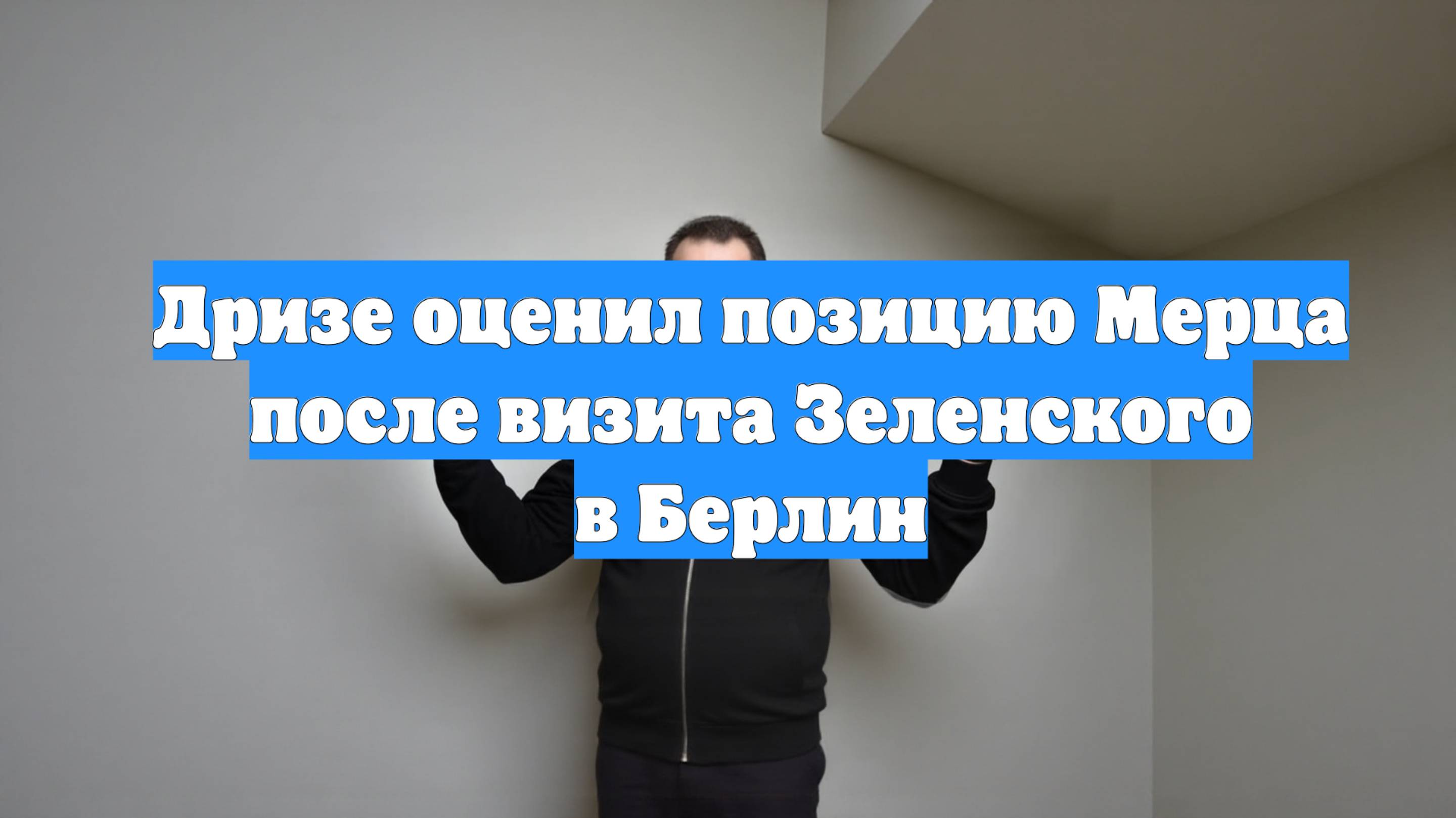 Дризе оценил позицию Мерца после визита Зеленского в Берлин