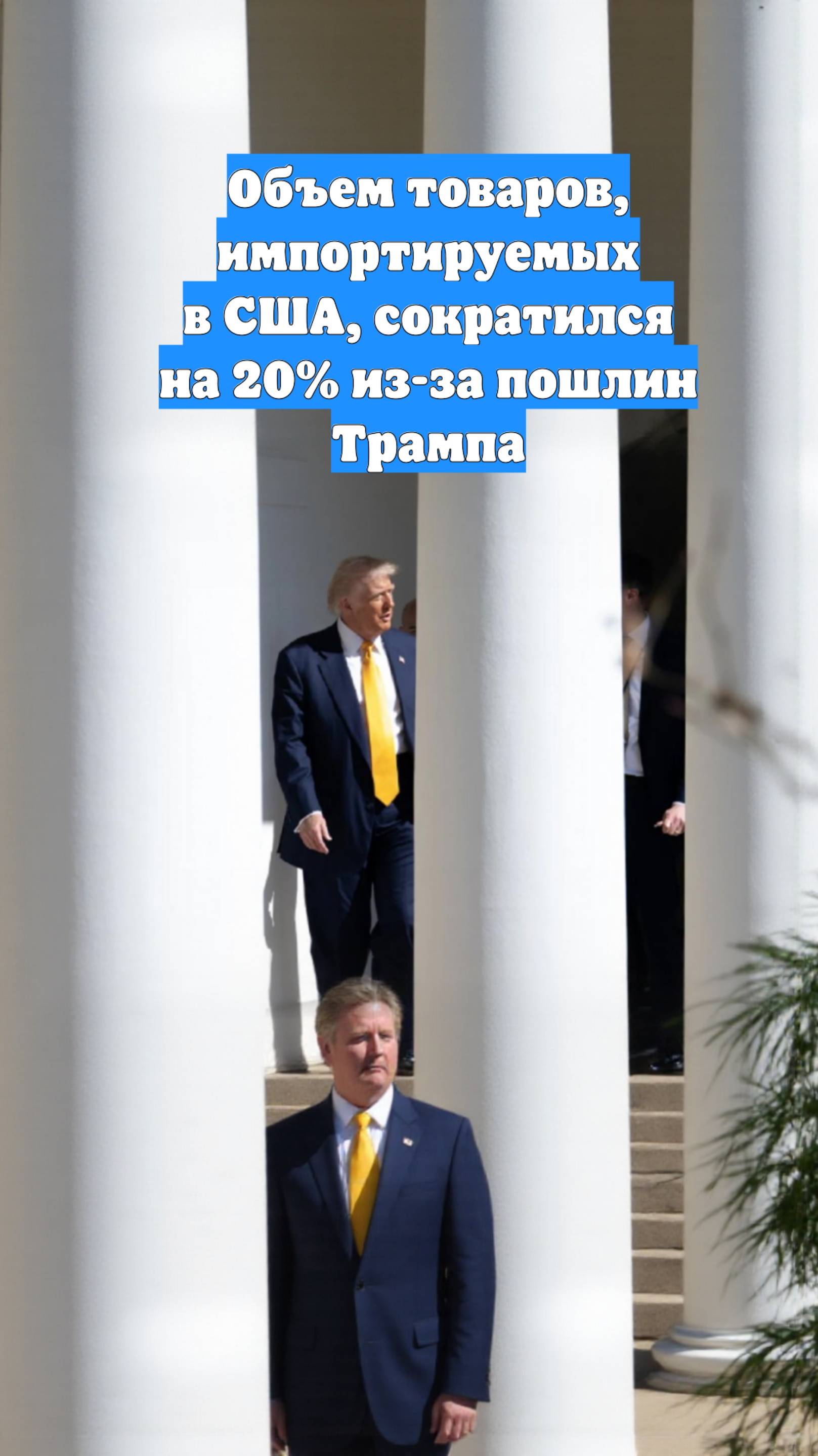 Объем товаров, импортируемых в США, сократился на 20% из-за пошлин Трампа