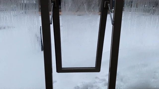 #265 Бежево-серая теплица с тонировкой лорд Уильям 3,8х7,8 м в Иркутске изнутри