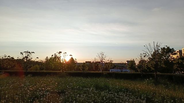 Погода Петербург . 31.05.2025 . 20:59 . +13° .
