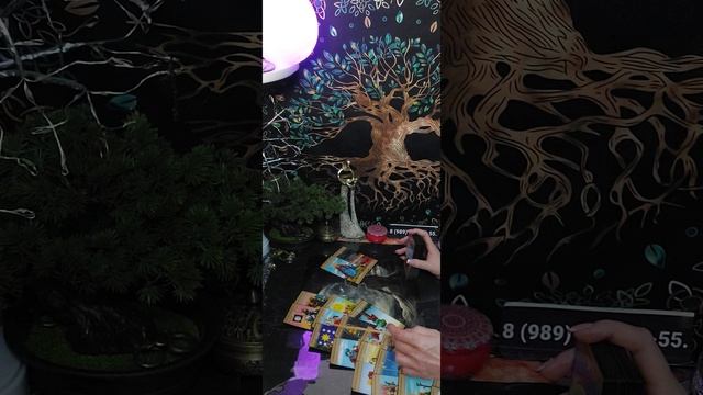 Таро-расклад