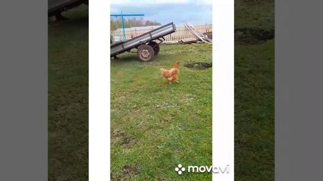 С днем победы!🕊️🕊️🕊️
