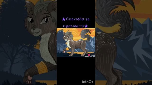 Коты воители/подборка из лайка