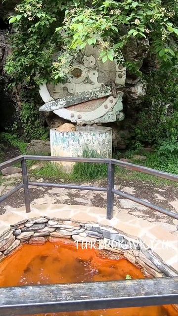 Наше путешествие в Долину нарзанов и в гости к альпакам🔥 Ваш гид Кисловодск +79283475869
