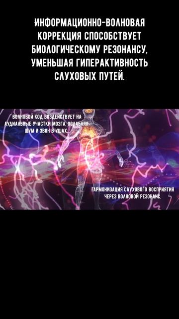 Матрица, работающая на субсенсорном уровне, регулирует внутренний слуховой фокус