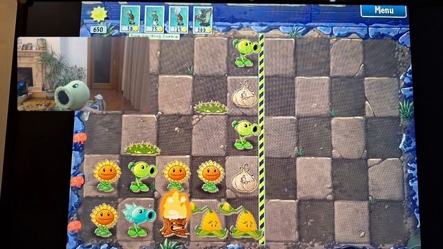 Горохострел играет в:Растения против зомби #16