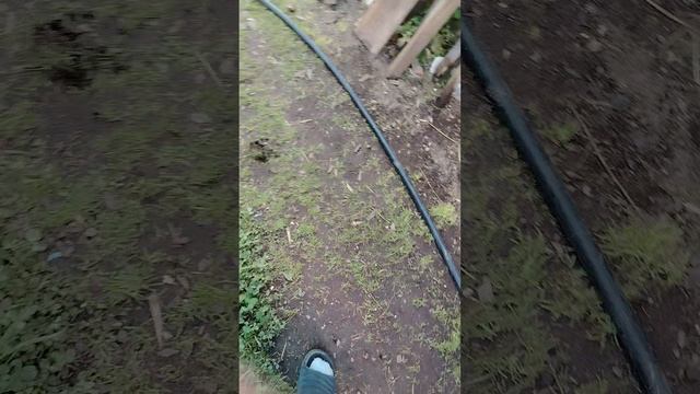 я за копьём🤣🤣🤣