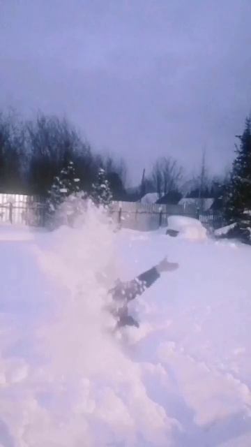 VID_2025-01-03-14-32-18-799.mp4