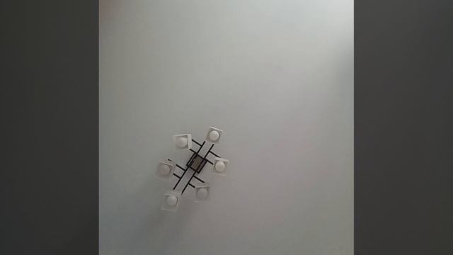 1000008633.mp4