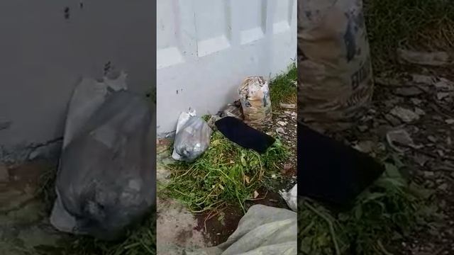ГОЛОС ИЗ НАРОДА VID-20221005-WA0021