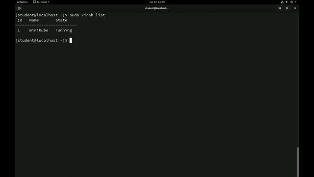 010 2.3 Using Minikube
