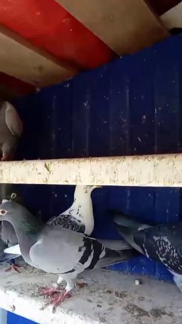 1000008114.mp4