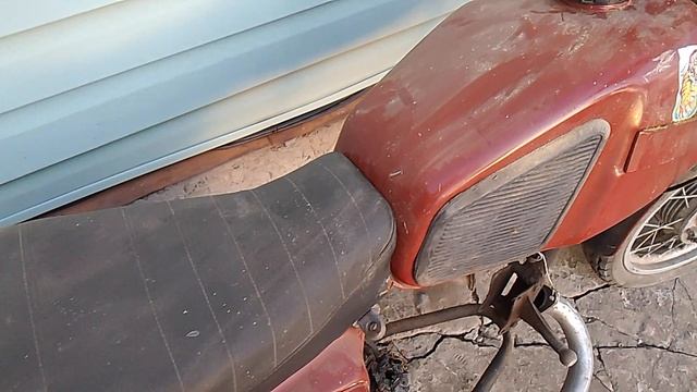 VID_20241002_174618.mp4