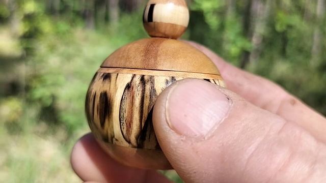 Шкатулка в весеннем лесу с цветущим шиповником