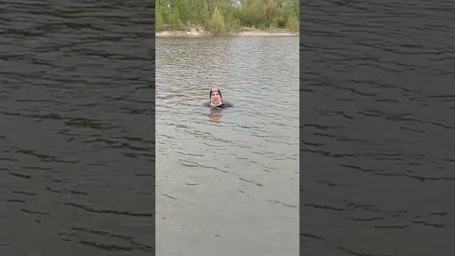 Брат во Христе, Игорь Дыбунов, плавает в холодной воде  07 05 2025