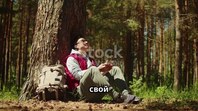 Как не заблудиться в лесу. Советы.