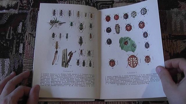 "Малый атлас энтомофагов" (П.А.Положенцев, В.Ф.Козлов, 1971)