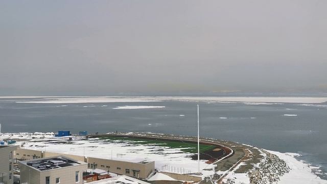 VID_20230314_110301