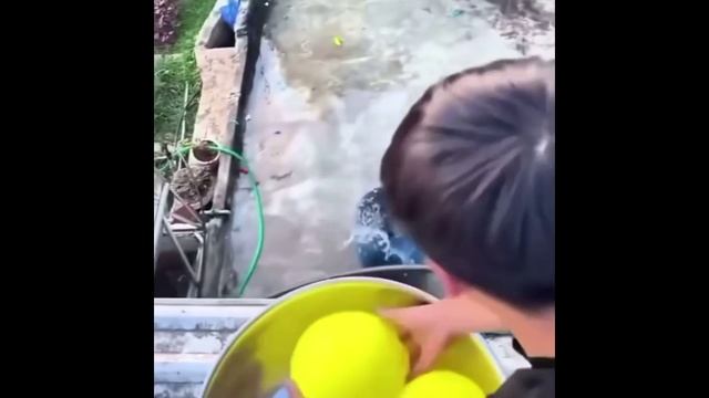 Странные игры азиатов