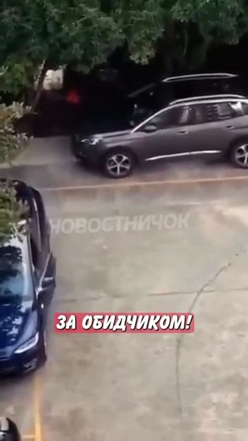 Новостничок (152)