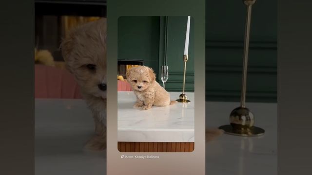 1000270876.mp4
