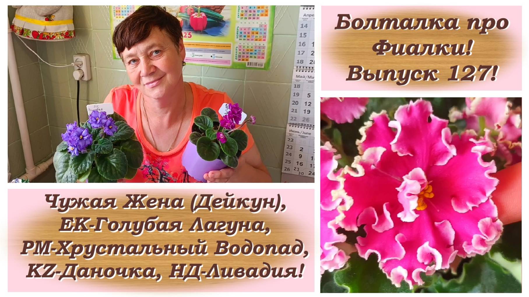 Болталка про Фиалки! Выпуск 127! Обзор цветущих стартеров Фиалок!