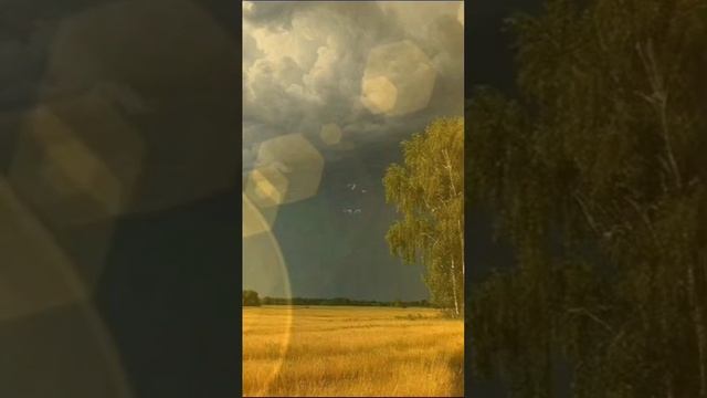 А функция заката такова: Печаля нас, возвысить наши души, Спокойствия природы не наруши...