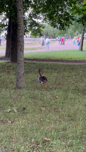 Это что за любопытный фрукт ?:))😃