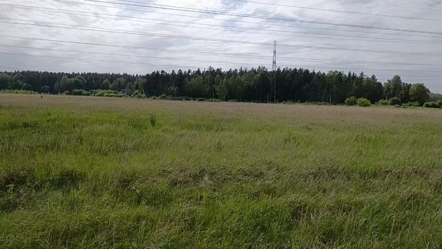 Доброе утро