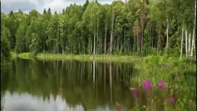 Как любить ближнего  Святитель Игнатий Брянчанинов