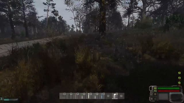 ПСИ-ЗОНА. DAYZ STALKER RP 28 серия