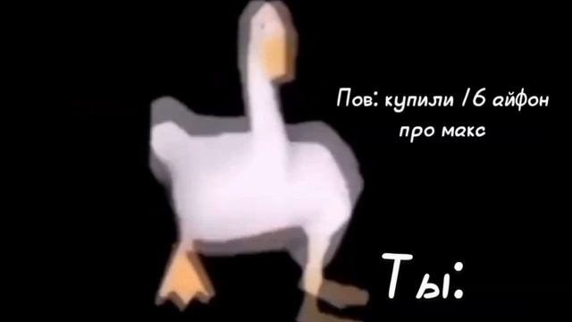 хахпадпвнааш