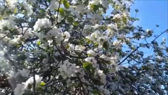 Завтра будет ЛЕТО 👏