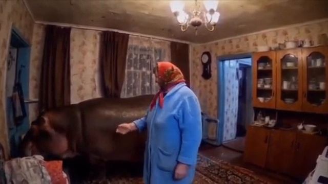 Бабулька с Булькой-Барабулькой