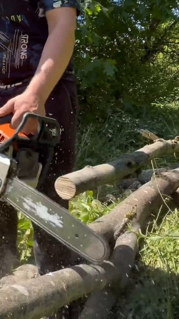STIHL - MS 250 в роботі