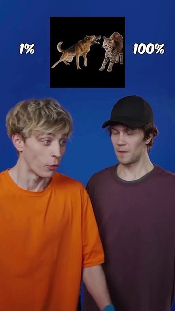1000015337.mp4