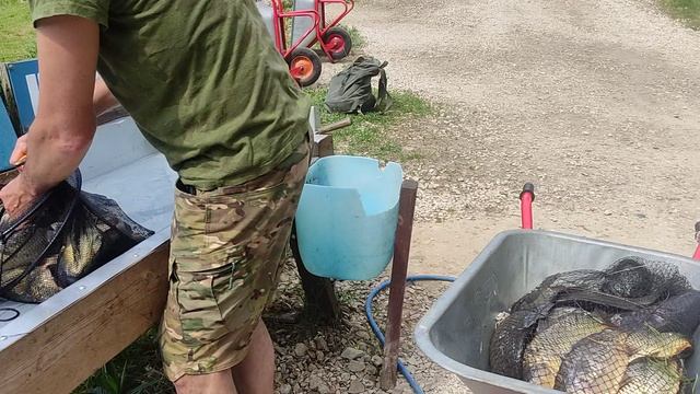 Каньон рыбалка на карпа.