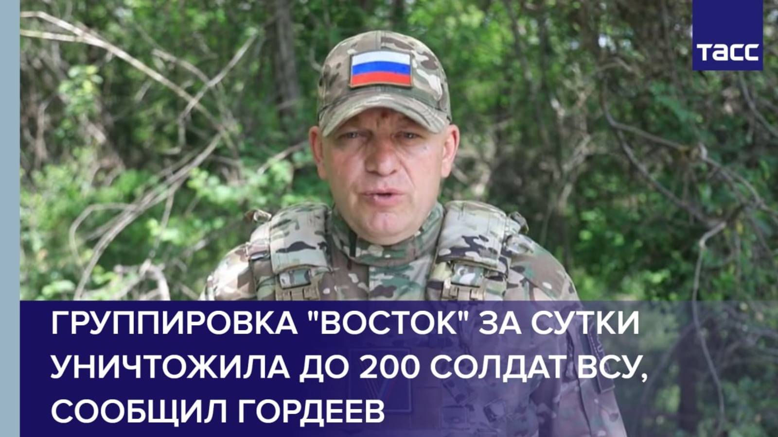Группировка "Восток" за сутки уничтожила до 200 солдат ВСУ, сообщил Гордеев