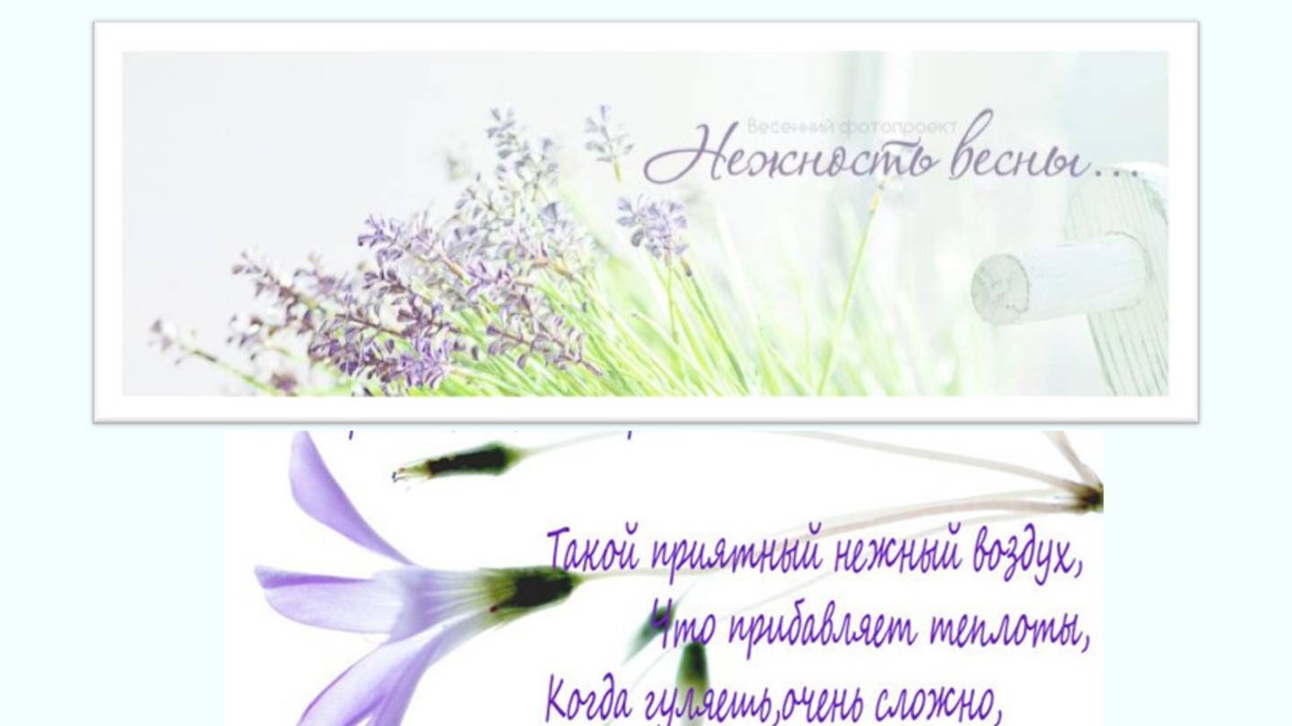 НЕЖНОСТЬ ВЕСНЫ