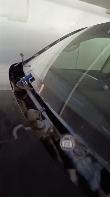 Автостекло на колесах